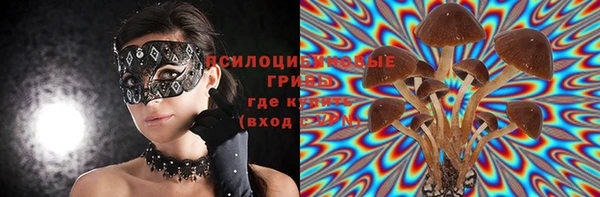 трава Нефтегорск