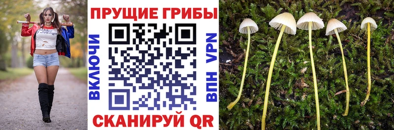 Псилоцибиновые грибы GOLDEN TEACHER  Котовск 