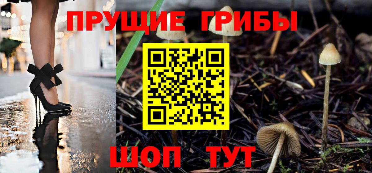 Галлюциногенные грибы GOLDEN TEACHER Котовск